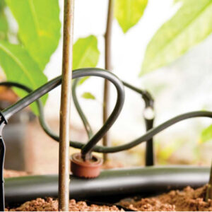 NAAN 12LPH 4 WAY DRIPPER KIT - DRIPPER + 4 WAY 75CM LEGS