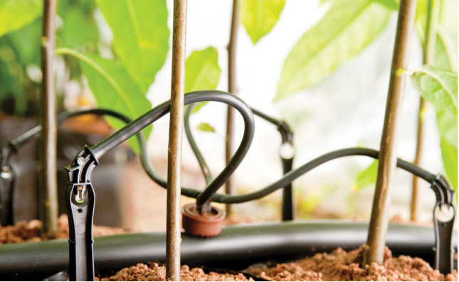 NAAN 12LPH 4 WAY DRIPPER KIT - DRIPPER + 4 WAY 75CM LEGS